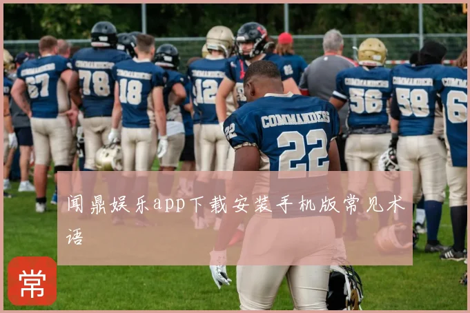 闻鼎娱乐app下载安装手机版常见术语